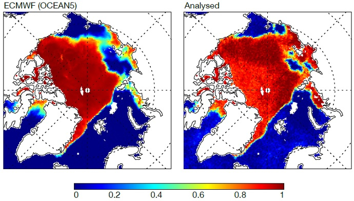 OCEAN 5 and new analysis of Arctic sea ice
