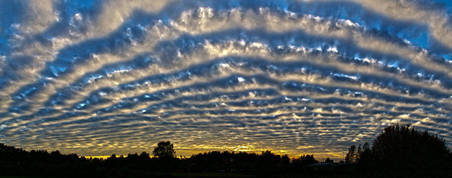 Wave-like clouds illuminated by low sun