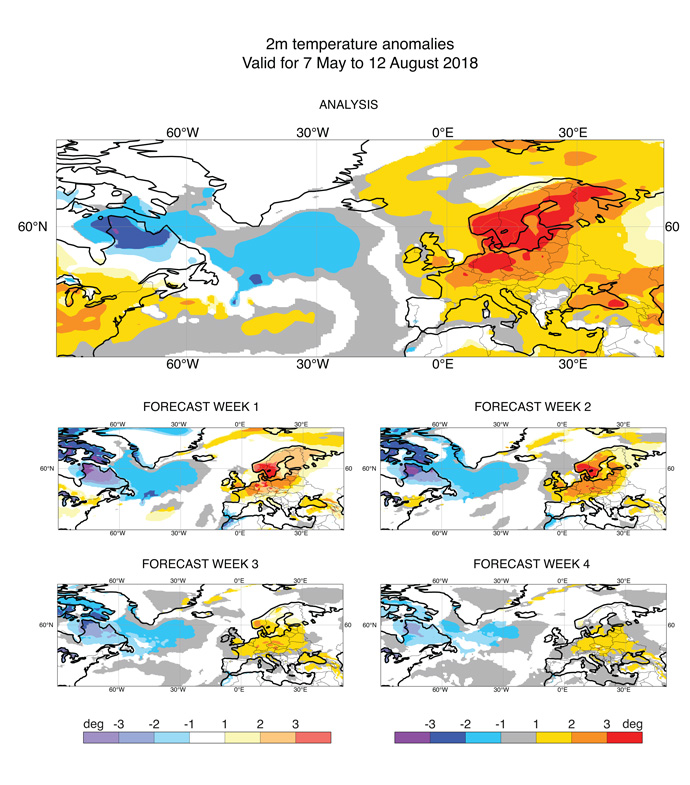2m temperature anomalies for the period 7 May to 12 August for analysis (top) and composite forecasts valid for 7 May to 12 August, based on week-one forecasts (middle left), week-two forecasts (middle right), week-three forecasts